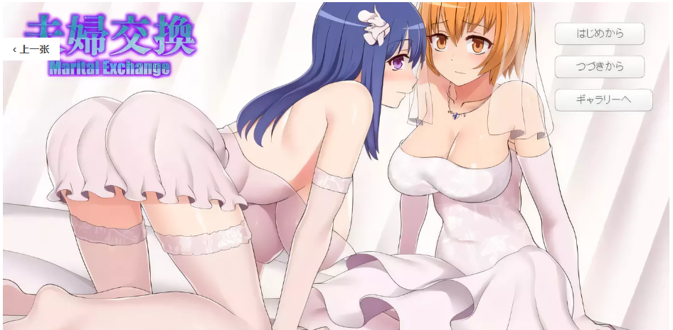 【奇妙ADV/汉化/全动态】夫妻交换 云汉化版【400M/新汉化/全CV】-ACG游戏网