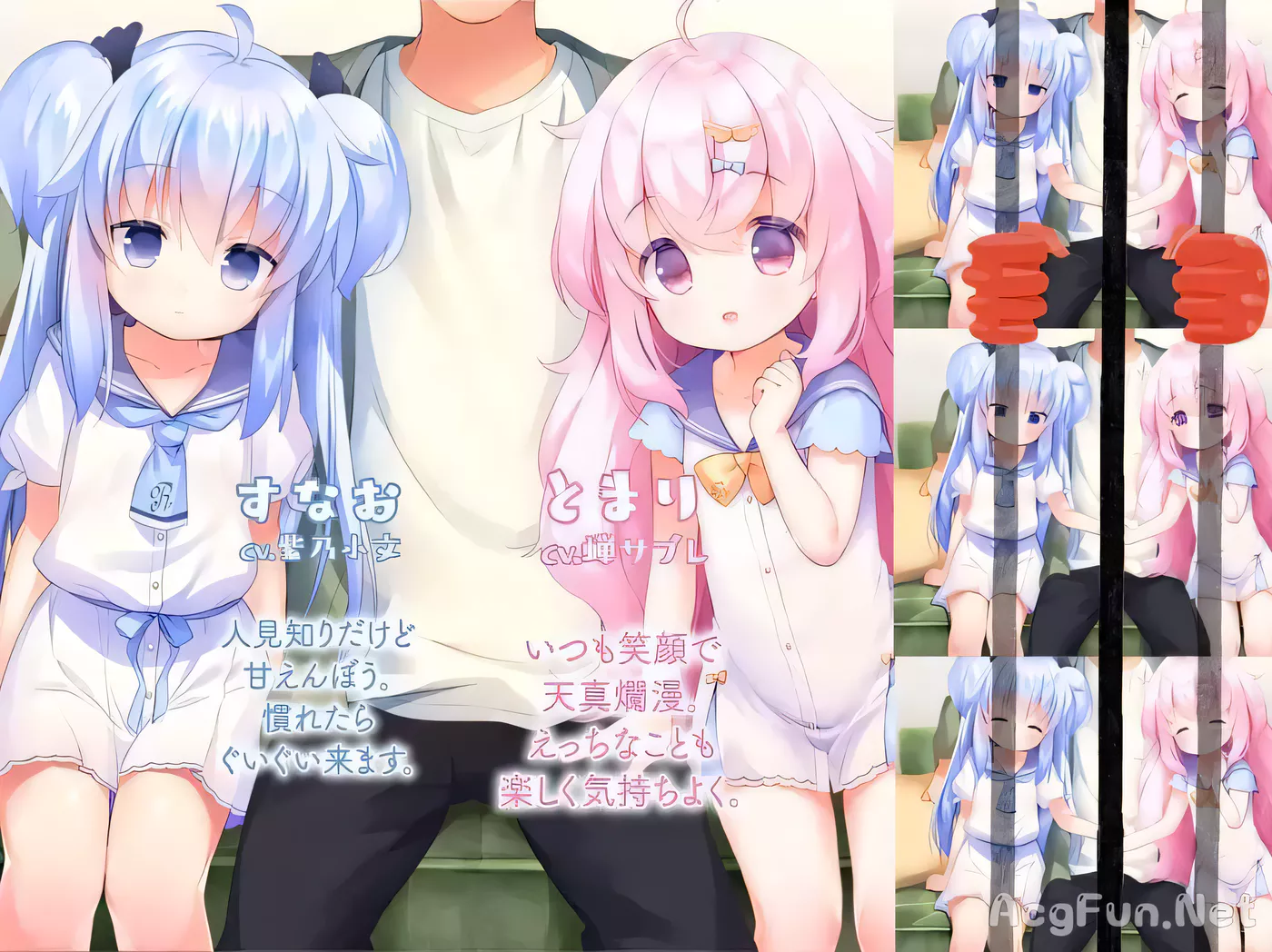 【ADV/汉化/全程CV】双子洛丽塔后宫 冷狐汉化版【PC+安卓/800M/萝莉控】-ACG游戏网