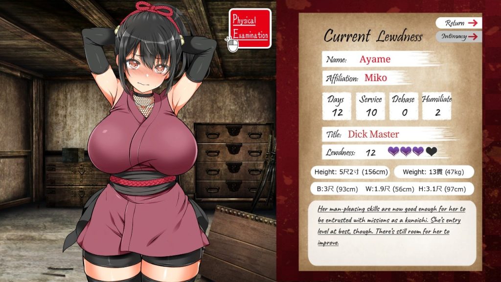 图片[3]-[PC游戏] T9399 女忍者堕落：忍堕とし 正式完全版[大型条教SLG/爆款/11G]-ACG游戏网