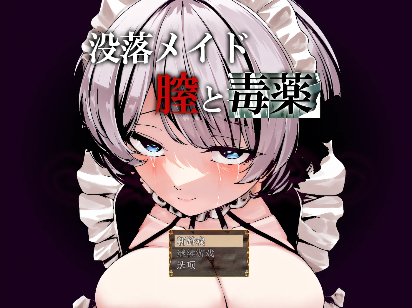 [PC游戏] T14612 堕落的女仆：阴道与毒药 Ver1.0 云翻汉化版 [新作/1.3G]-ACG游戏网